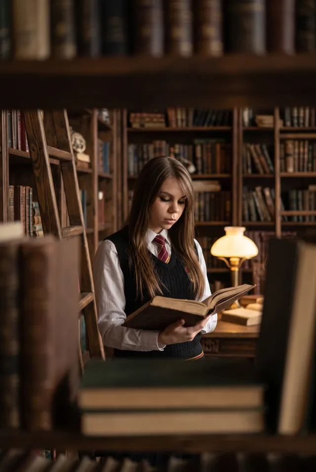 GRYFFINDOR: HOGWARTS LIBRARY PORTRAIT
